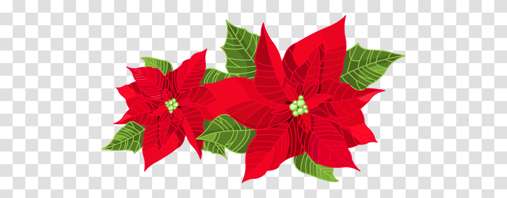Christmas Greenery Clipart Nice Clip Art, Leaf, Plant, Floral Design, Pattern Transparent Png