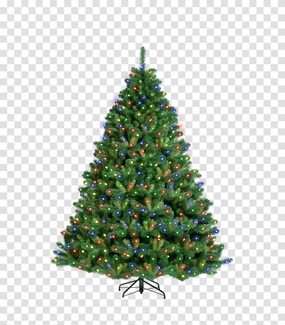 Christmas Greenery Poinsettias And Christmas Tree, Ornament, Plant Transparent Png