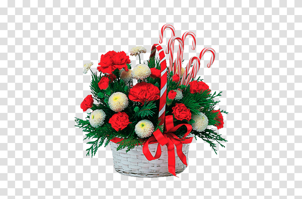 Christmas Greetings For Love, Plant, Flower, Blossom, Flower Bouquet Transparent Png