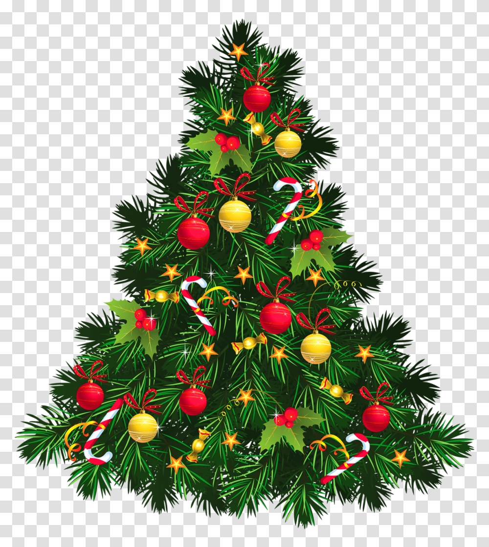 Christmas, Holiday, Christmas Tree, Ornament, Plant Transparent Png