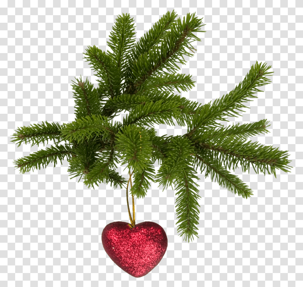 Christmas, Holiday Transparent Png