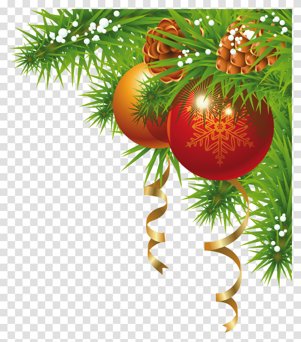 Christmas, Holiday, Tree, Plant, Conifer Transparent Png