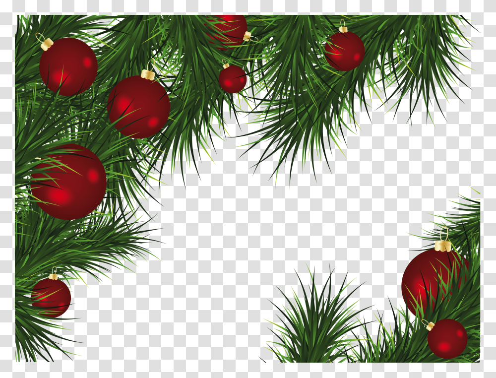 Christmas, Holiday, Tree, Plant, Conifer Transparent Png