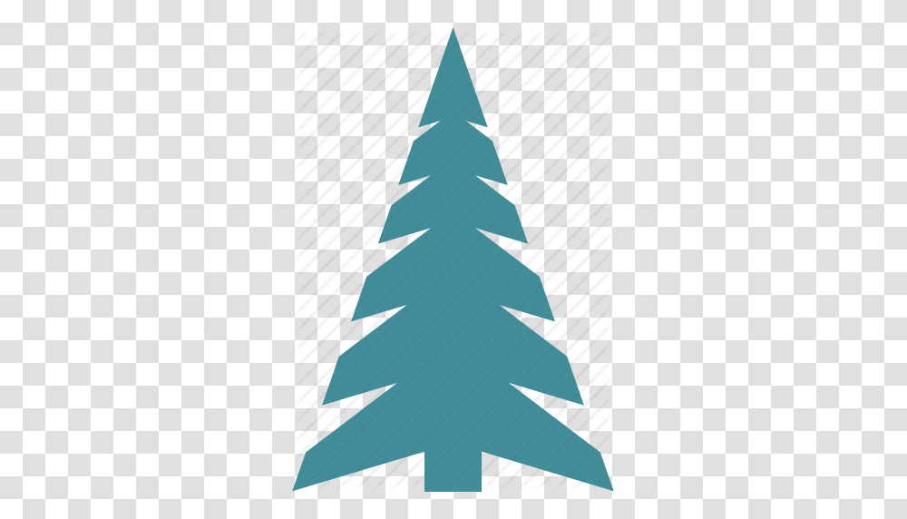 Christmas Holiday Tree Winter Icon, Plant, Ornament, Christmas Tree, Bird Transparent Png