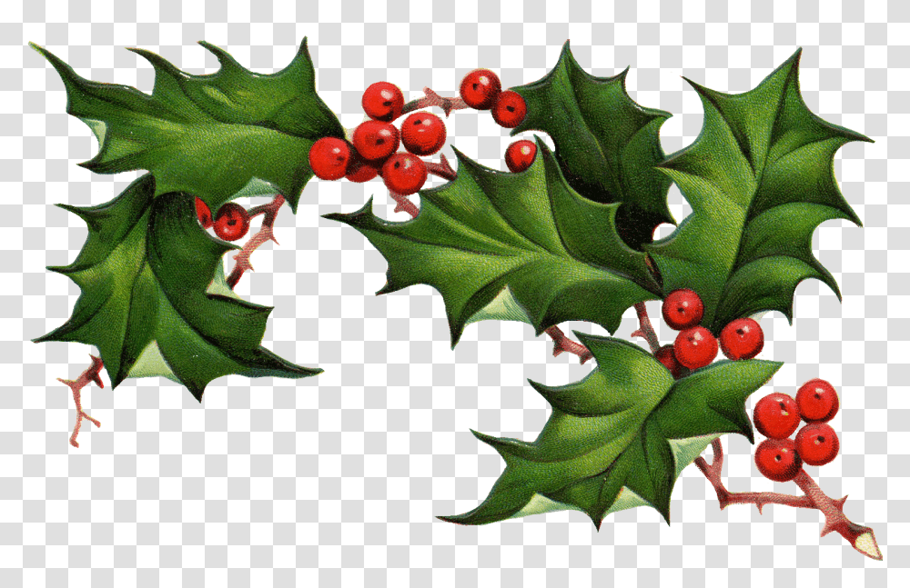 Christmas Holly Border Free Clipart Free Clip Art Images Christmas Holly Clipart Free, Leaf, Plant, Tree, Maple Leaf Transparent Png