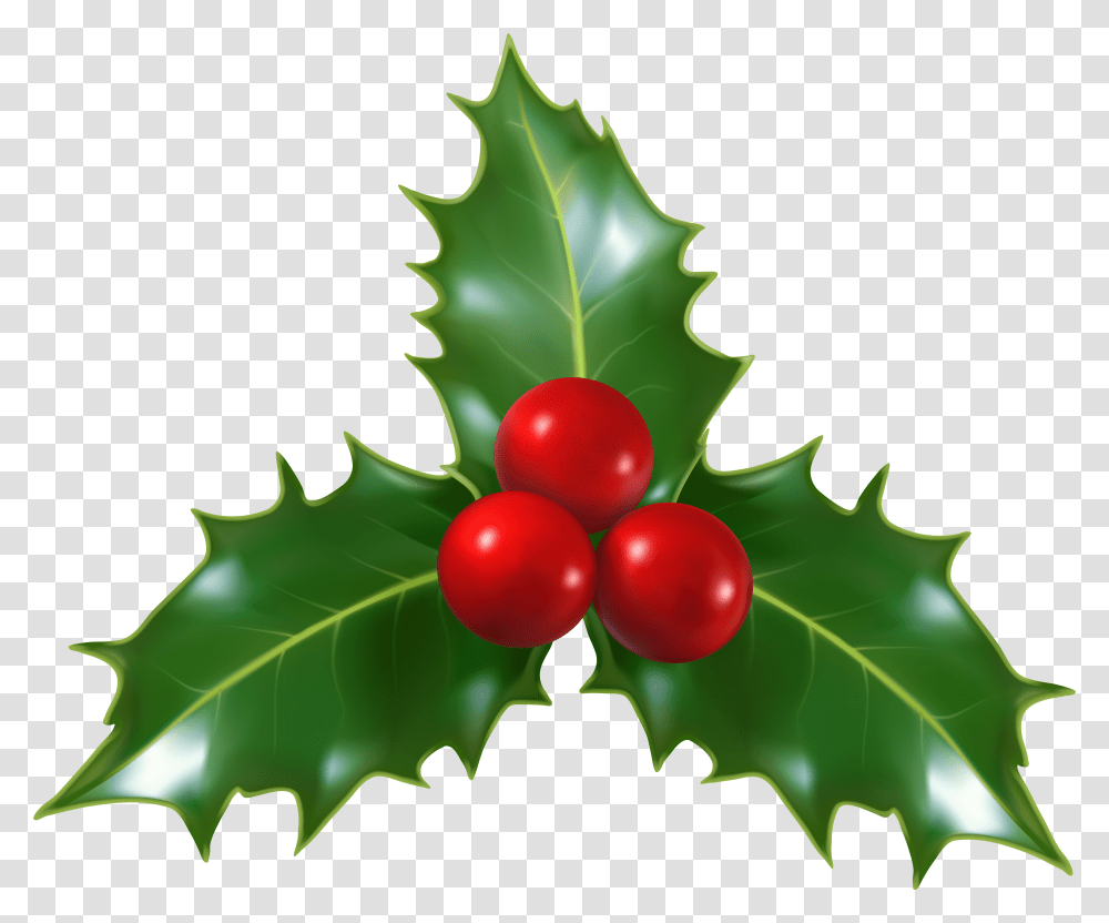Christmas Holly Border Vector Christmas Holly Transparent Png