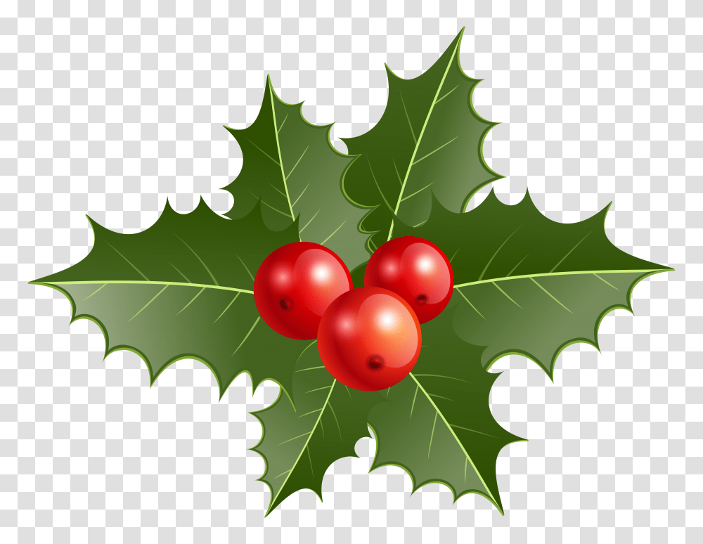 Christmas Holly Clip, Plant, Leaf, Fruit, Food Transparent Png