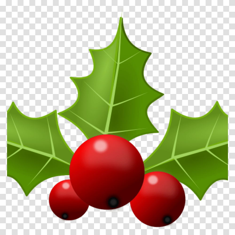 Christmas Holly Clipart Monkey Clipart, Leaf, Plant, Balloon, Fruit Transparent Png