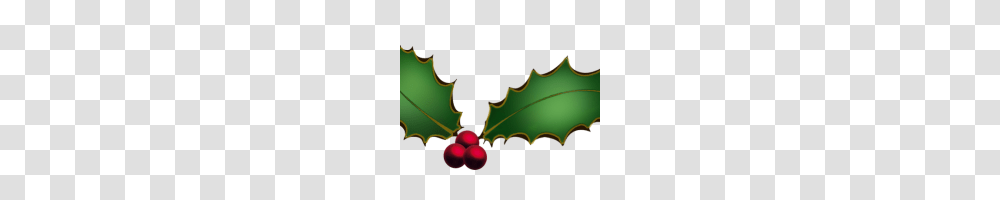 Christmas Holly Graphics Common Holly Christmas Tree Free Content, Leaf, Plant, Person, Human Transparent Png