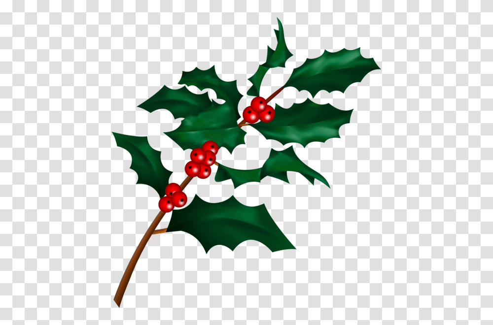Christmas Holly Mistletoe Branch Clip, Plant, Fruit, Food, Leaf Transparent Png