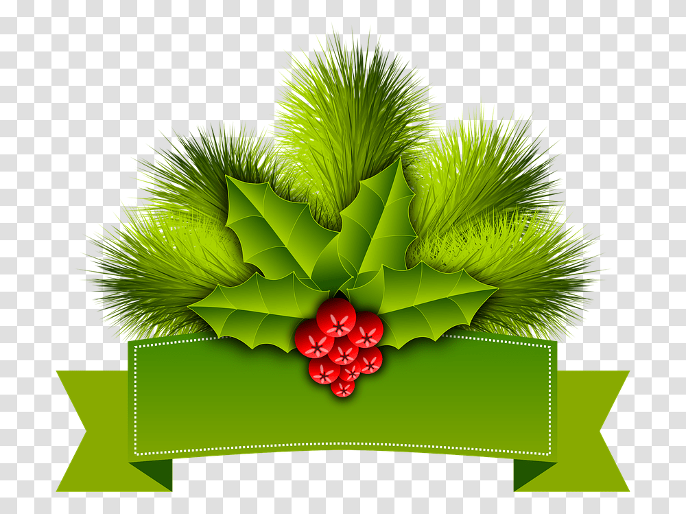 Christmas Holly Pinheiro Ornament Festive, Plant, Green, Leaf, Bush Transparent Png