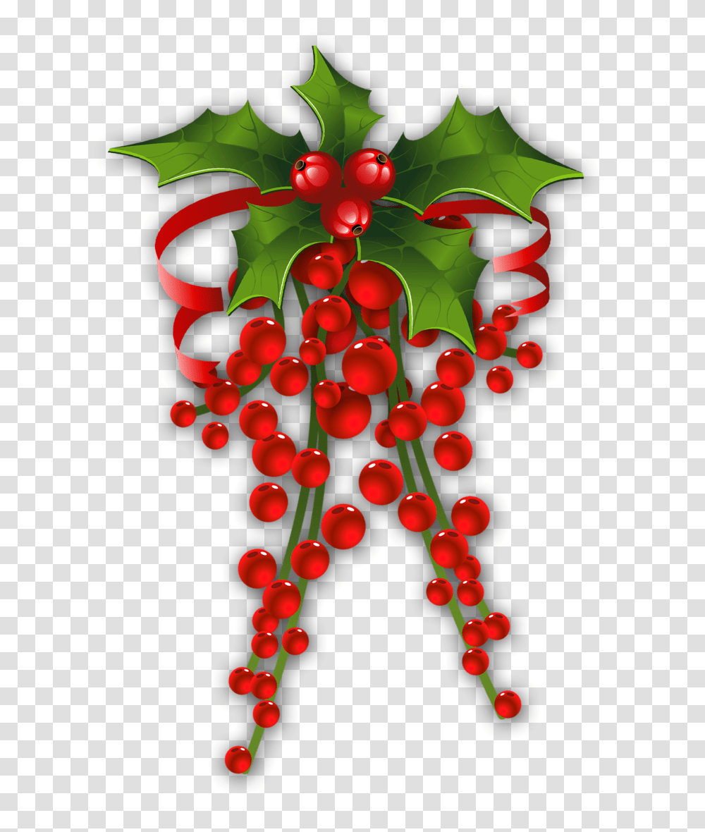 Christmas Holly, Plant, Fruit, Food, Grapes Transparent Png