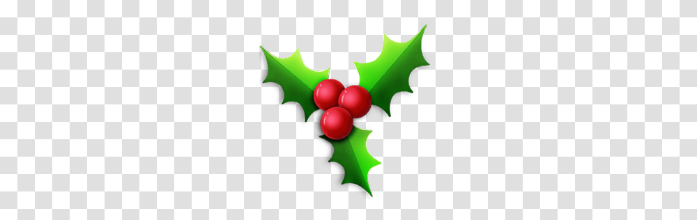 Christmas Holly Ymca Calgary, Leaf, Plant, Green, Fruit Transparent Png