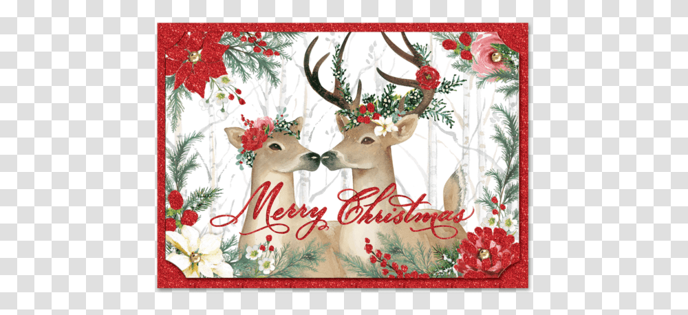 Christmas Images For Cards, Deer, Wildlife, Mammal, Animal Transparent Png