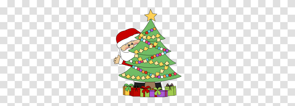 Christmas In The Parks, Tree, Plant, Christmas Tree, Ornament Transparent Png
