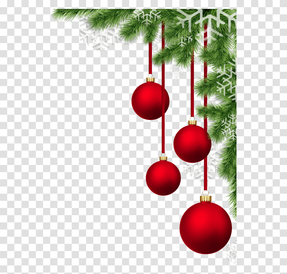Christmas Items Coming Soon, Tree, Plant, Ornament, Conifer Transparent Png