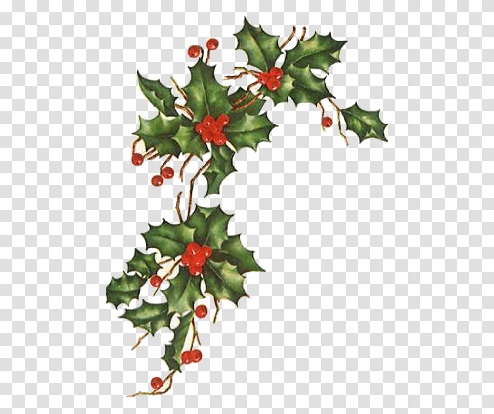 Christmas Ivy & Free Ivypng Vintage Christmas Flower, Pattern, Graphics, Art, Floral Design Transparent Png