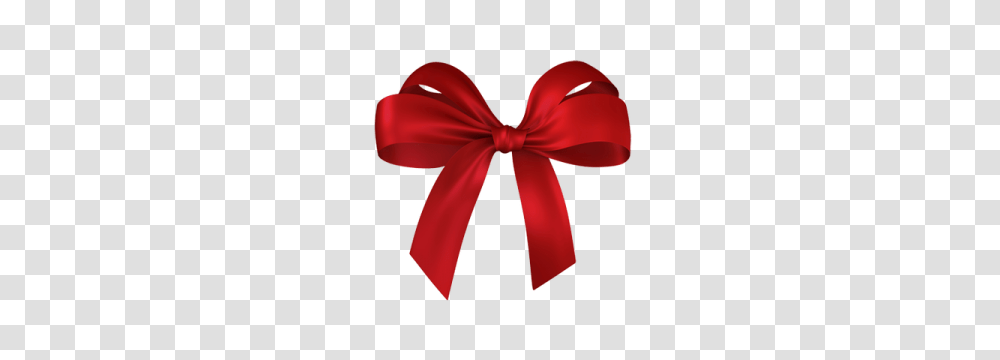 Christmas Knot, Tie, Accessories, Accessory, Flower Transparent Png