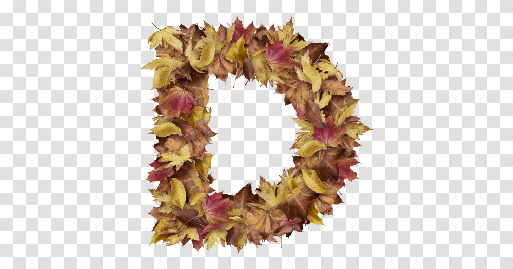 Christmas Leaves Letter D From Dry Leaves Wreath Autumn, Plant, Leaf, Petal, Flower Transparent Png