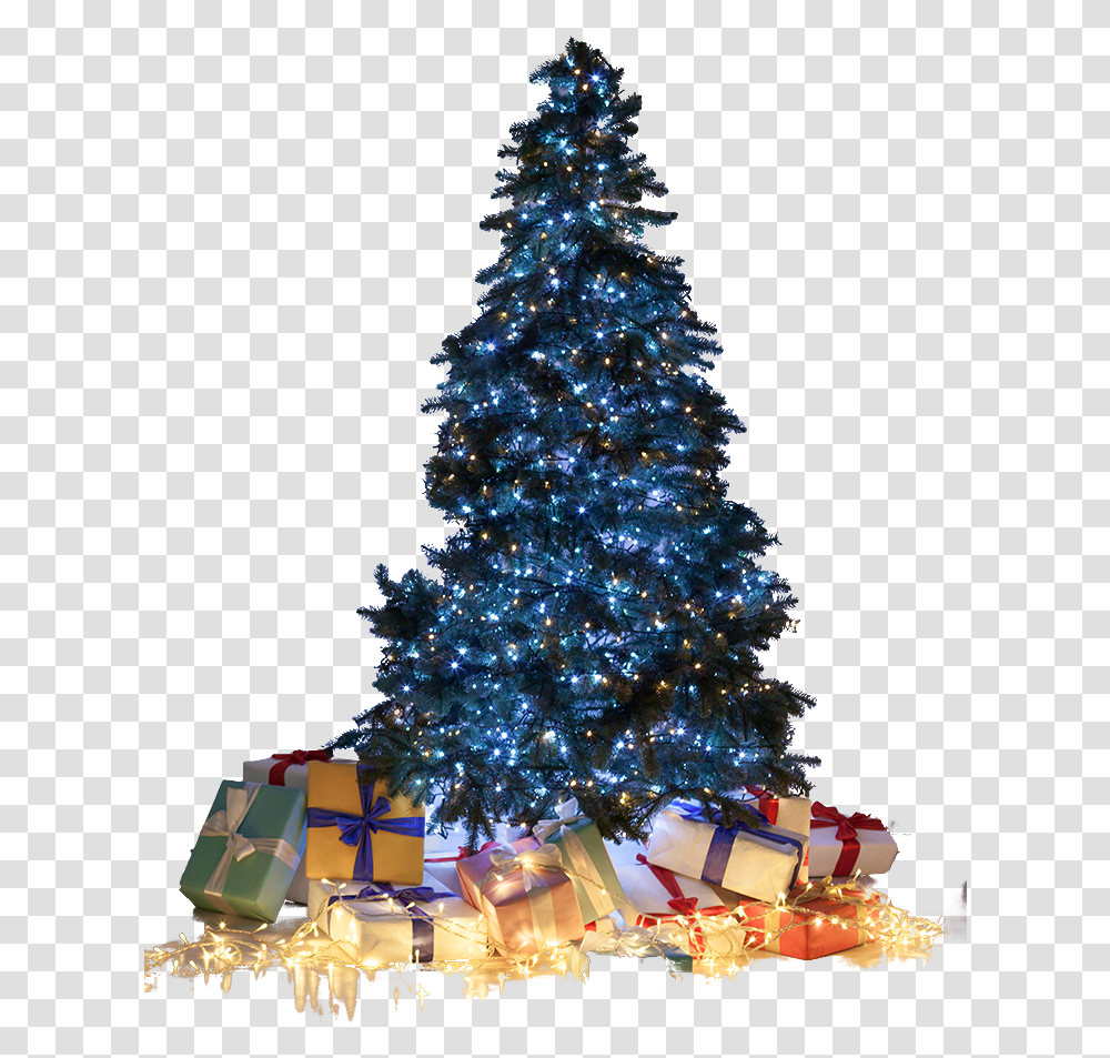 Christmas Lighting Five Star Holiday Decor Christmas Day, Christmas Tree, Ornament, Plant Transparent Png