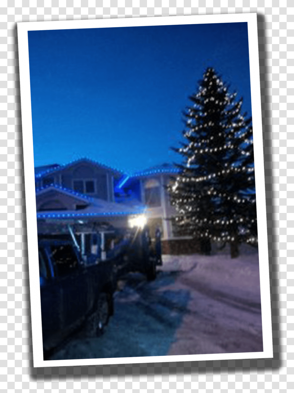 Christmas Lights Installation Beaumont Heights Residential Christmas Tree, Plant, Ornament, Pine, Fir Transparent Png