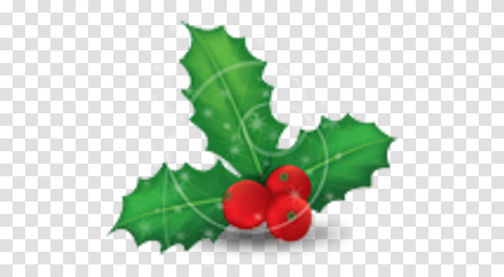 Christmas Mistletoe Cartoon Jingfm Christmas Mistletoe, Plant, Food, Leaf, Vegetable Transparent Png