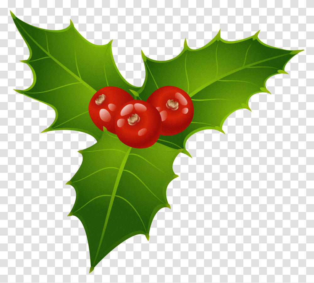 Christmas Mistletoe Clipart Gal 810998 Images Christmas Mistletoe Clipart, Leaf, Plant, Fruit, Food Transparent Png