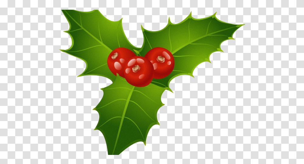 Christmas Mistletoe Clipart, Leaf, Plant, Tree Transparent Png