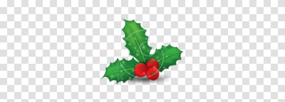 Christmas Mistletoe Free Images, Plant, Leaf, Food, Vegetable Transparent Png