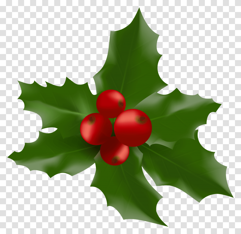 Christmas Mistletoe Large Clipart Muerdago Fondo Transparente, Leaf, Plant, Fruit, Food Transparent Png