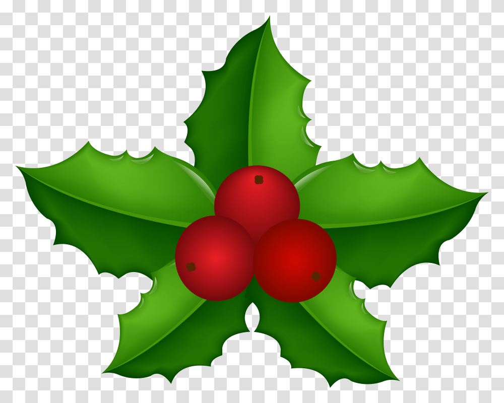 Christmas Mistletoe, Leaf, Plant, Fruit, Food Transparent Png