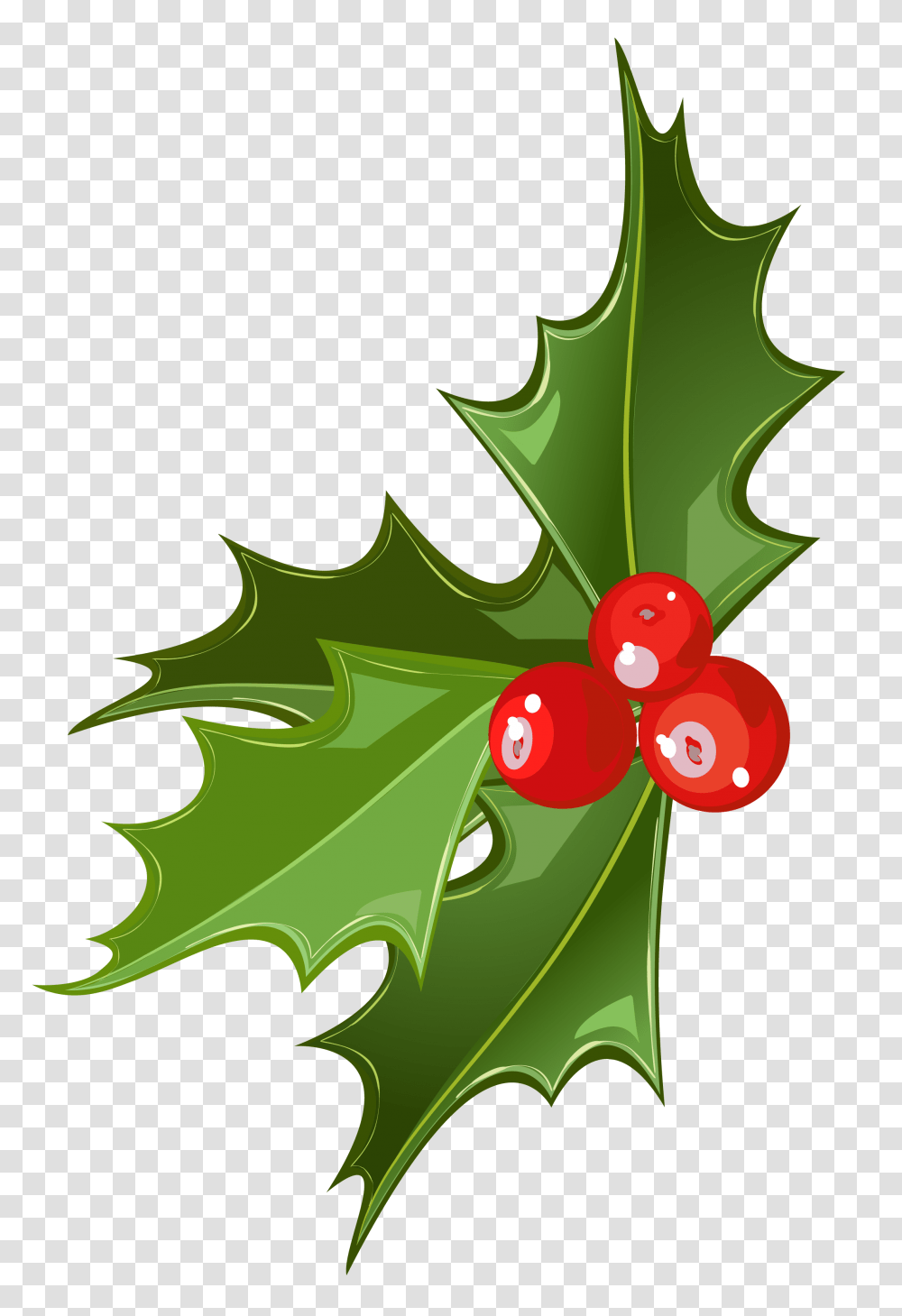 Christmas Mistletoe, Leaf, Plant, Tree, Maple Leaf Transparent Png