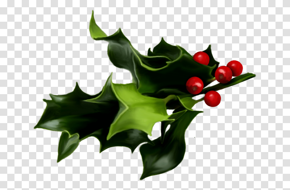 Christmas Mistletoe, Plant, Leaf, Fruit, Food Transparent Png