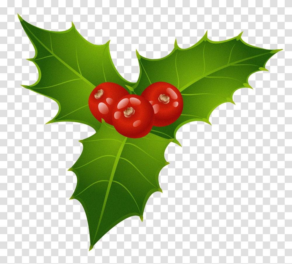 Christmas Mistletoe, Plant, Leaf, Fruit, Food Transparent Png