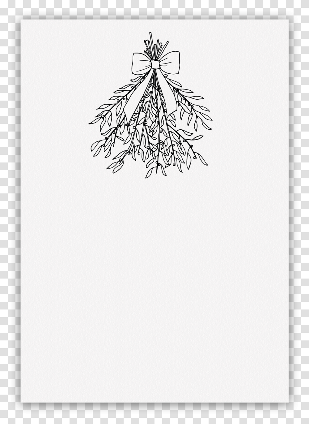 Christmas Mistletoe, Plant, Root, Flower, Blossom Transparent Png