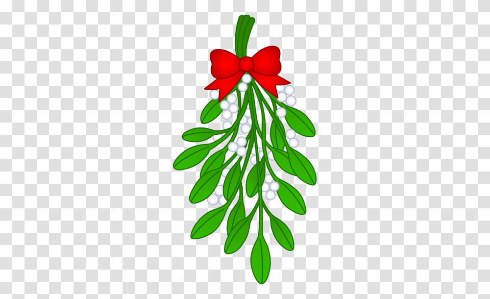 Christmas Mistletoe With Red Bow, Plant, Tree, Flower, Blossom Transparent Png