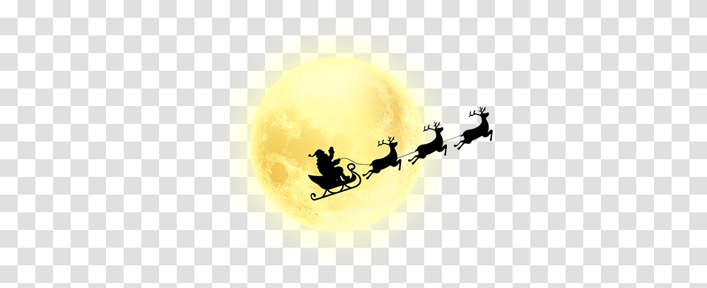 Christmas Moon Full Moon, Outdoors, Nature, Bird, Silhouette Transparent Png