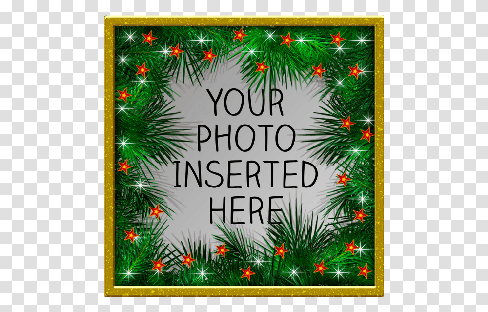 Christmas Ornament, Advertisement, Poster, Vegetation Transparent Png