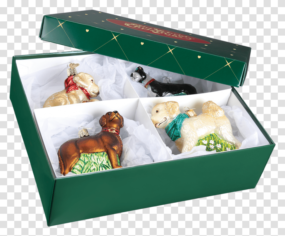 Christmas Ornament, Box, Dog, Mammal, Furniture Transparent Png