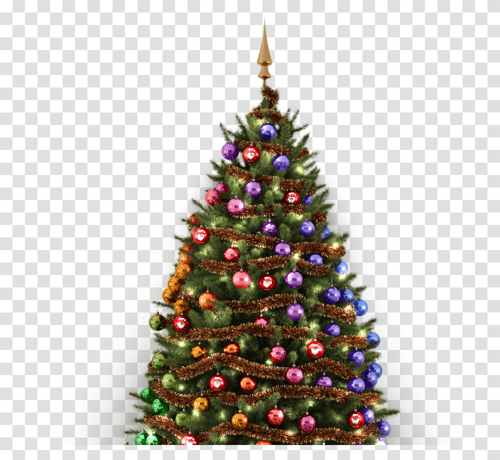 Christmas Ornament, Christmas Tree, Plant Transparent Png