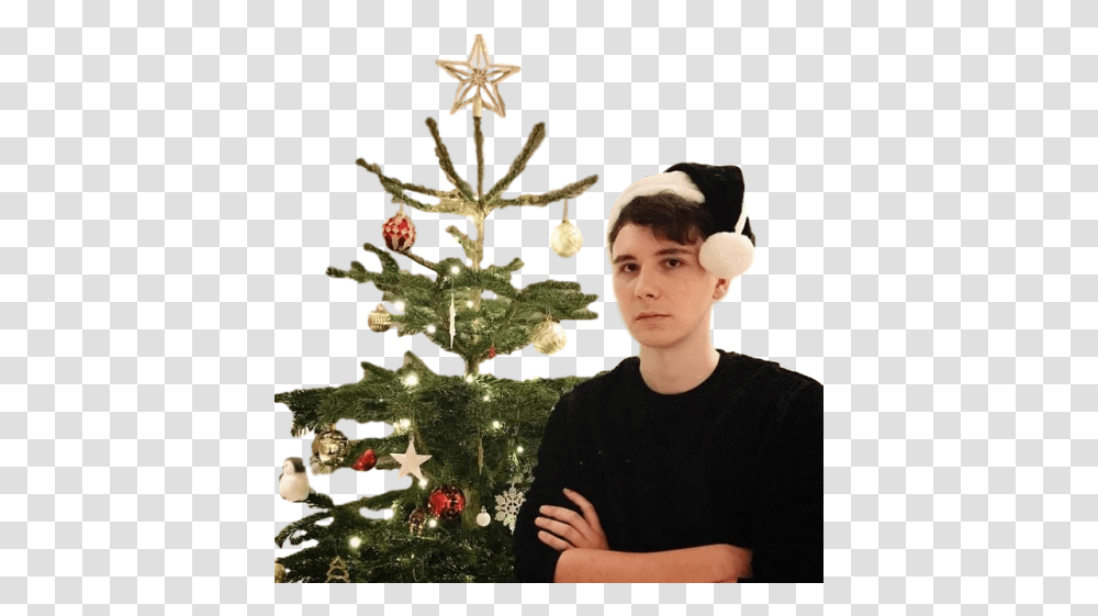 Christmas Ornament Image With No Dan And Phil Christmas 2017, Tree, Plant, Person, Human Transparent Png