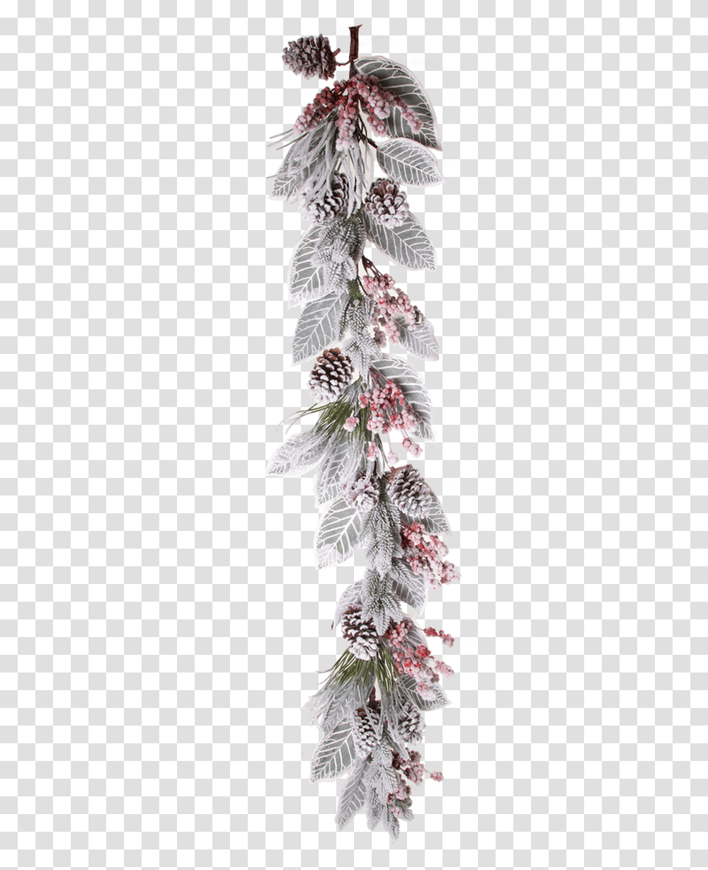 Christmas Ornament, Pattern, Plant, Floral Design Transparent Png