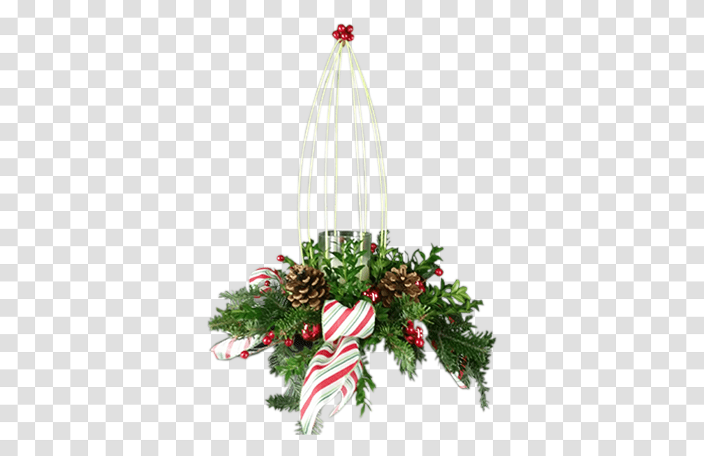 Christmas Ornament, Plant, Tree, Flower, Blossom Transparent Png