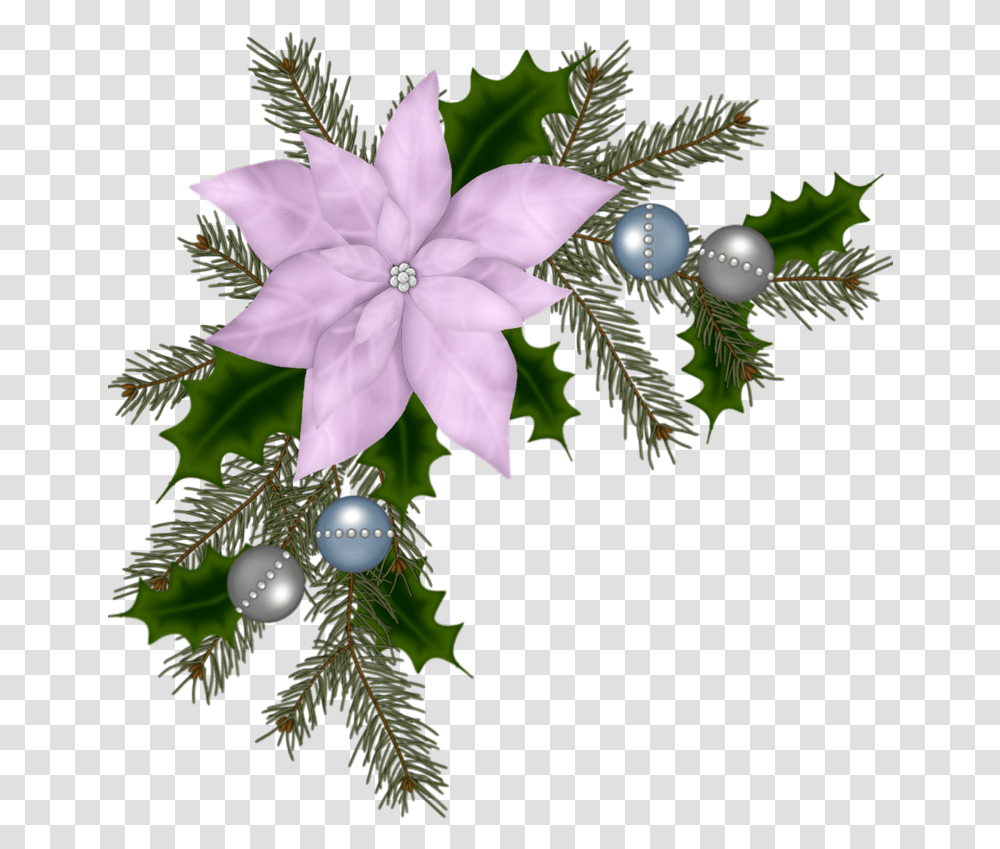 Christmas Ornament, Tree, Plant, Christmas Tree, Conifer Transparent Png