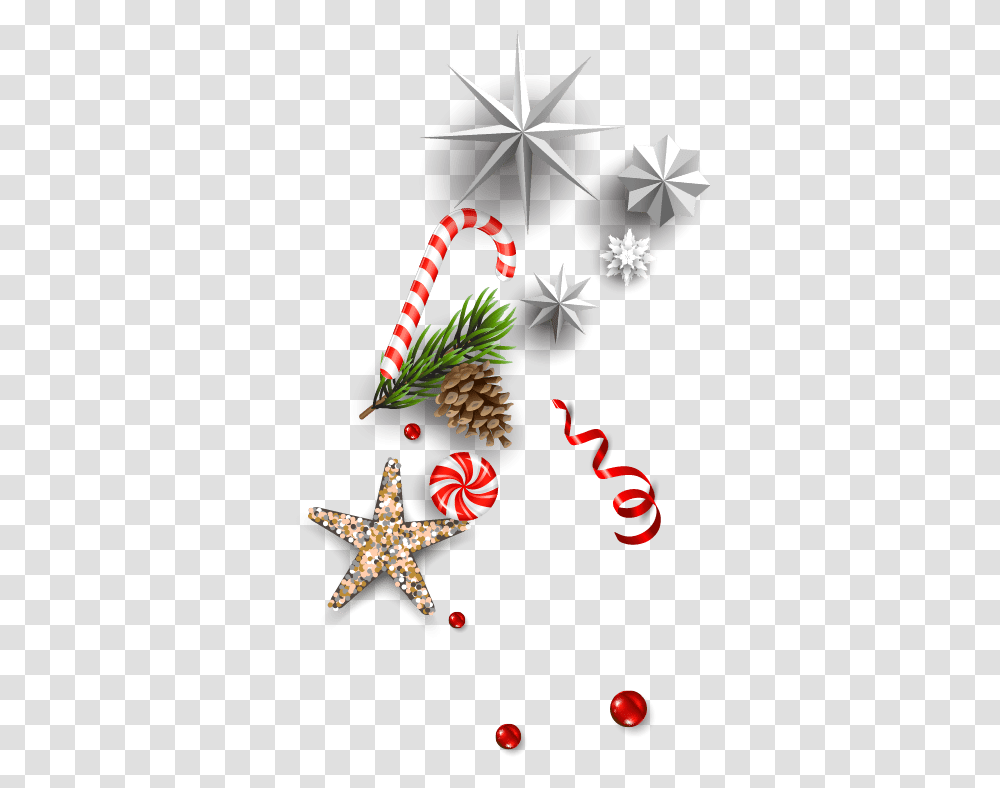 Christmas Ornament, Tree, Plant, Star Symbol Transparent Png