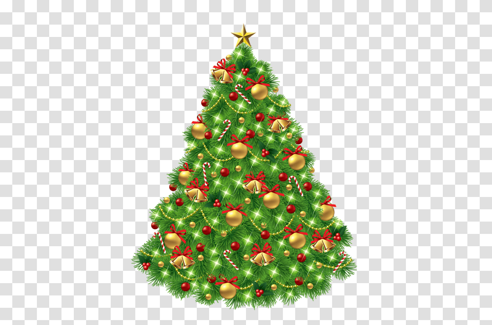 Christmas Ornaments, Christmas Tree, Plant Transparent Png