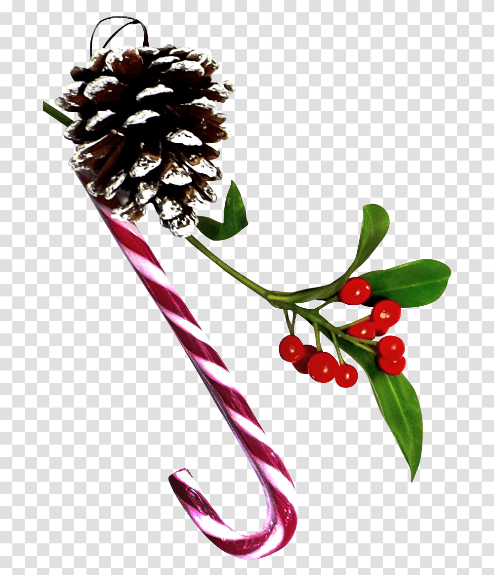 Christmas Ornaments - For Free Silver Buffaloberry, Plant, Food, Stick, Flower Transparent Png