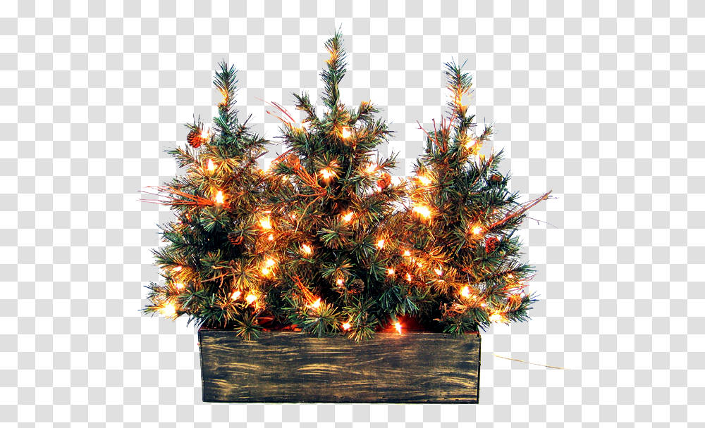 Christmas Outside Picture Mart Christmas Day, Christmas Tree, Ornament, Plant, Fractal Transparent Png