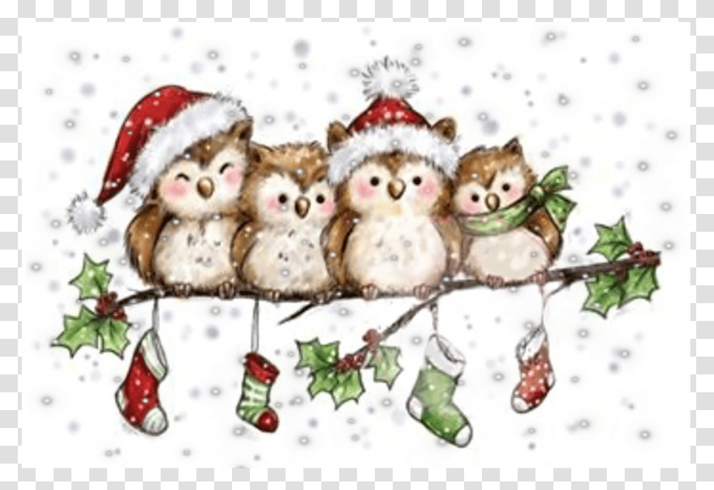 Christmas Owl Owls Family Welliesfamily Santahat, Outdoors, Snow, Nature, Tree Transparent Png
