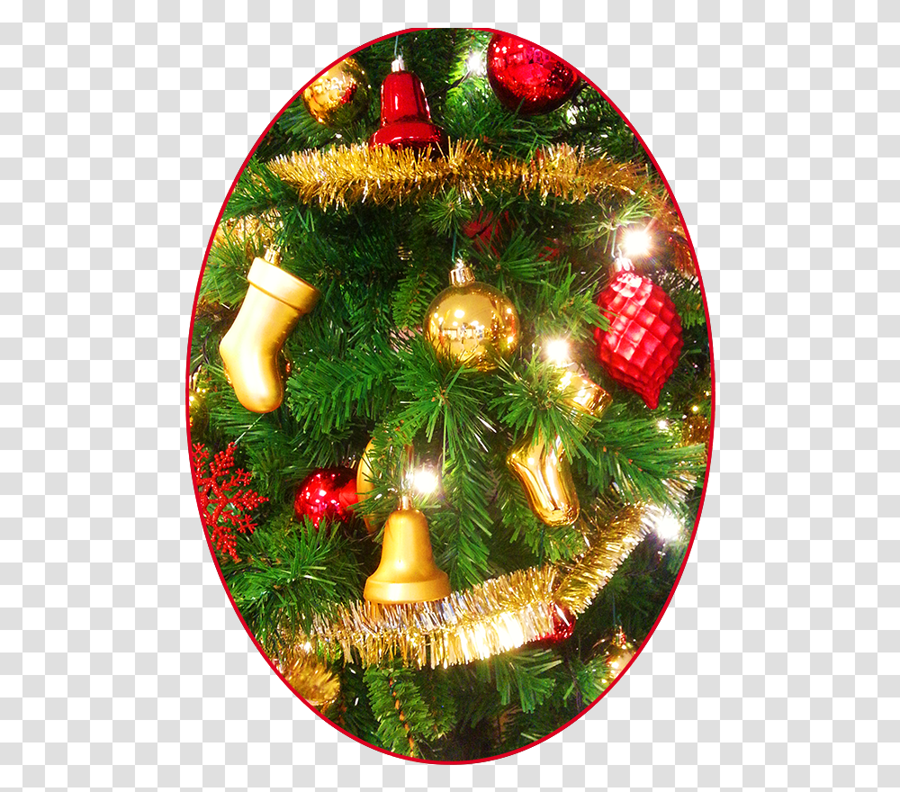 Christmas Pictures Decoration Christmas Ornament, Tree, Plant, Christmas Tree, Wreath Transparent Png